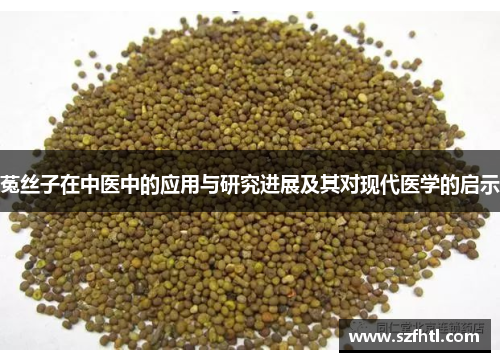 菟丝子在中医中的应用与研究进展及其对现代医学的启示