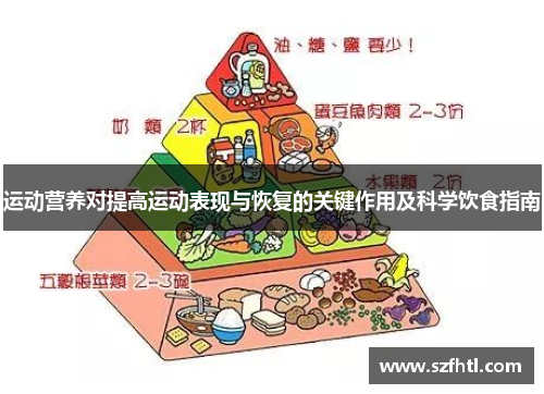 运动营养对提高运动表现与恢复的关键作用及科学饮食指南