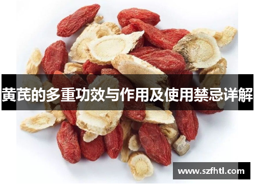 黄芪的多重功效与作用及使用禁忌详解 黄芪的多重功效与作用及使用禁忌详解