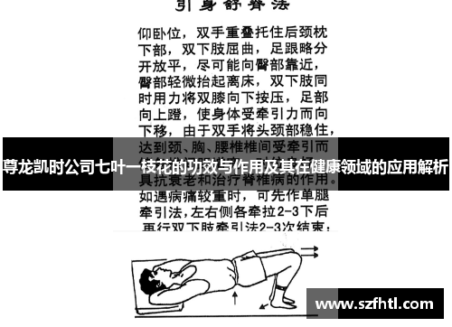 尊龙凯时公司七叶一枝花的功效与作用及其在健康领域的应用解析